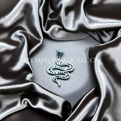 Serpiente de la sabiduria(31 x 27 mm.) Acero. Incluye collar cordón